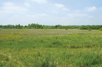 Property photo 46 - 1,025 Acres in 24 Tracts - Exellent Recreation Opportunity - Potential Building Sites - 11 Lakes & Ponds